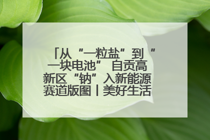 从“一粒盐”到“一块电池” 自贡高新区“钠”入新能源赛道版图丨美好生活有“盐”味
