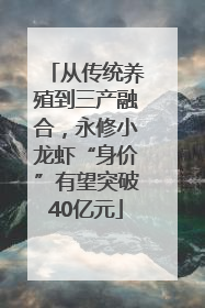 从传统养殖到三产融合，永修小龙虾“身价”有望突破40亿元