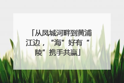 从凤城河畔到黄浦江边，“海”好有“陵”携手共赢