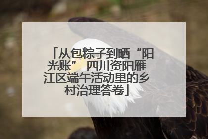 从包粽子到晒“阳光账” 四川资阳雁江区端午活动里的乡村治理答卷