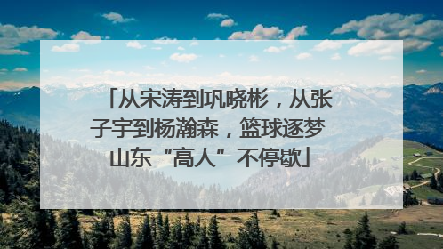 从宋涛到巩晓彬，从张子宇到杨瀚森，篮球逐梦山东“高人”不停歇
