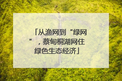 从渔网到“绿网”，蔡甸桐湖网住绿色生态经济