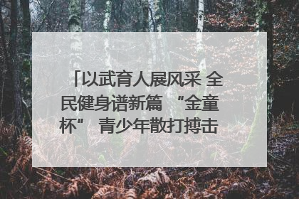 以武育人展风采 全民健身谱新篇 “金童杯” 青少年散打搏击邀请赛圆满落幕