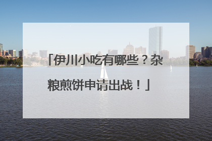 伊川小吃有哪些？杂粮煎饼申请出战！