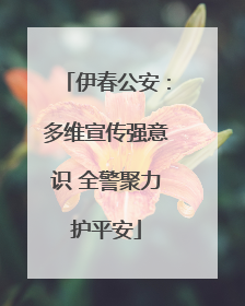伊春公安：多维宣传强意识 全警聚力护平安