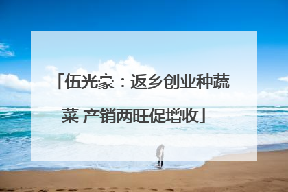 伍光豪：返乡创业种蔬菜 产销两旺促增收