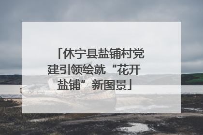 休宁县盐铺村党建引领绘就“花开盐铺”新图景