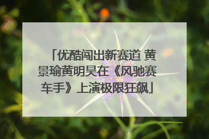 优酷闯出新赛道 黄景瑜黄明昊在《风驰赛车手》上演极限狂飙