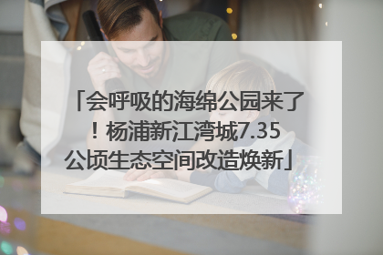 会呼吸的海绵公园来了！杨浦新江湾城7.35公顷生态空间改造焕新