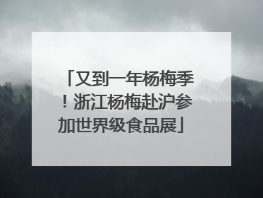 又到一年杨梅季！浙江杨梅赴沪参加世界级食品展