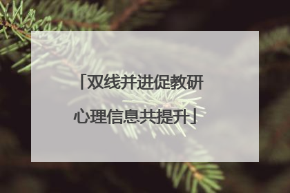 双线并进促教研 心理信息共提升
