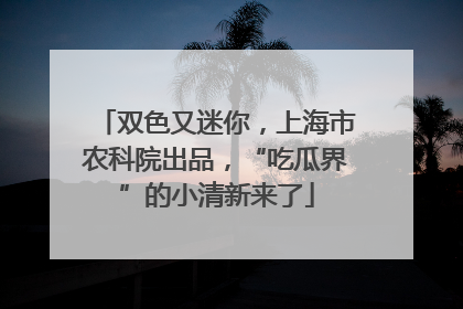 双色又迷你，上海市农科院出品，“吃瓜界”的小清新来了