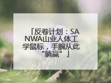 反卷计划：SANWA山业人体工学鼠标，手腕从此“躺赢”