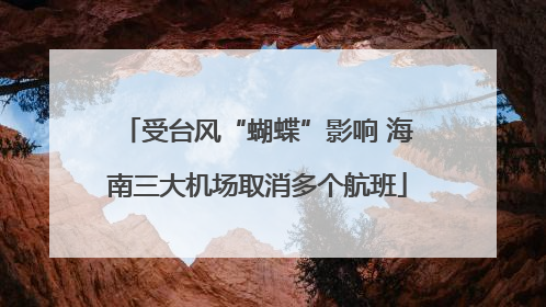 受台风“蝴蝶”影响 海南三大机场取消多个航班