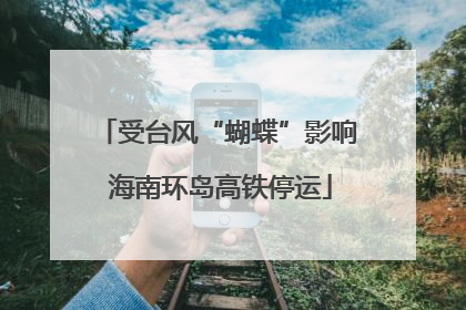 受台风“蝴蝶”影响 海南环岛高铁停运