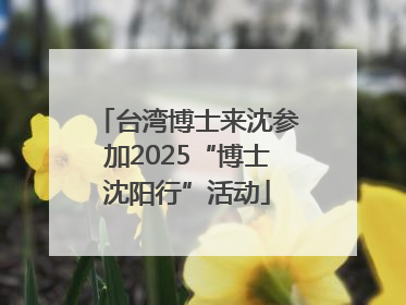 台湾博士来沈参加2025“博士沈阳行”活动