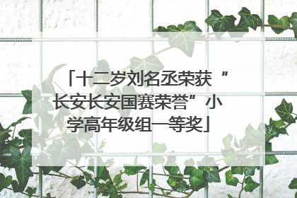 十二岁刘名丞荣获“长安长安国赛荣誉”小学高年级组一等奖