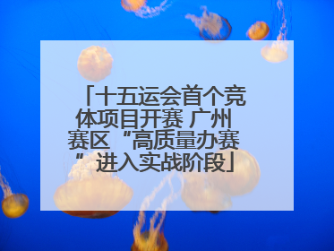 十五运会首个竞体项目开赛 广州赛区“高质量办赛”进入实战阶段