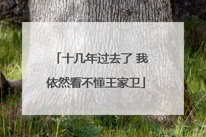 十几年过去了 我依然看不懂王家卫