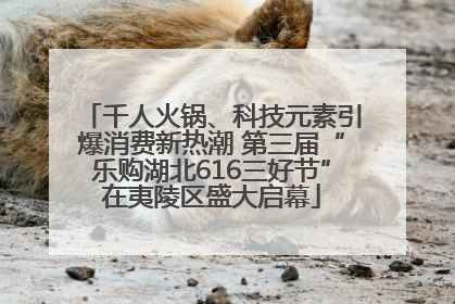 千人火锅、科技元素引爆消费新热潮 第三届“乐购湖北616三好节”在夷陵区盛大启幕