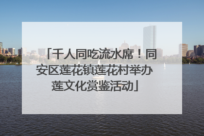 千人同吃流水席！同安区莲花镇莲花村举办莲文化赏鉴活动