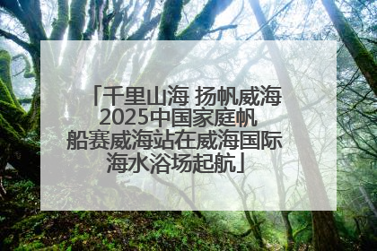 千里山海 扬帆威海 2025中国家庭帆船赛威海站在威海国际海水浴场起航