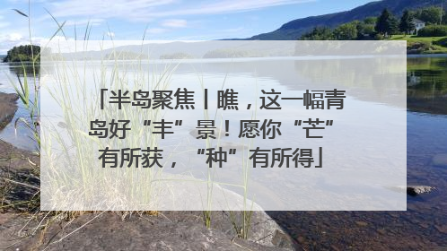 半岛聚焦丨瞧，这一幅青岛好“丰”景！愿你“芒”有所获，“种”有所得
