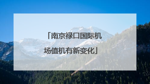 南京禄口国际机场值机有新变化