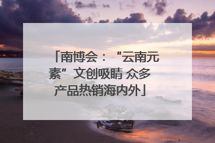 南博会：“云南元素”文创吸睛 众多产品热销海内外