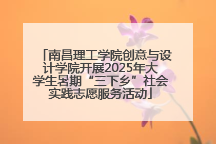 南昌理工学院创意与设计学院开展2025年大学生暑期“三下乡”社会实践志愿服务活动