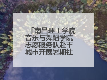南昌理工学院音乐与舞蹈学院志愿服务队赴丰城市开展暑期社会实践活动