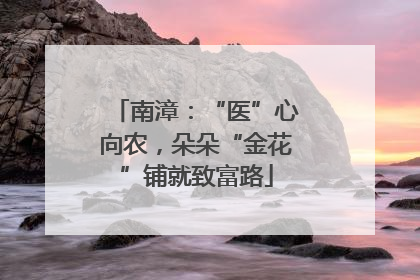 南漳：“医”心向农，朵朵“金花”铺就致富路