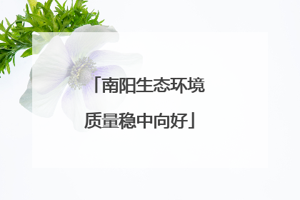 南阳生态环境质量稳中向好