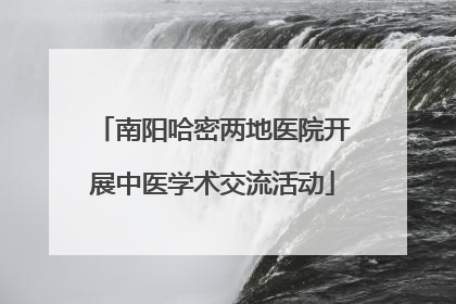 南阳哈密两地医院开展中医学术交流活动