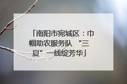南阳市宛城区：巾帼助农服务队 “三夏”一线绽芳华