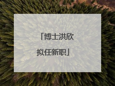博士洪欣拟任新职