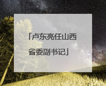 卢东亮任山西省委副书记