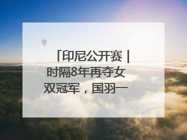 印尼公开赛｜时隔8年再夺女双冠军，国羽一金一银收官