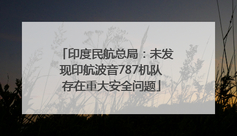 印度民航总局：未发现印航波音787机队存在重大安全问题