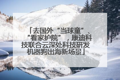 去国外“当球童”、“看家护院”，康迪科技联合云深处科技研发机器狗出海新场景