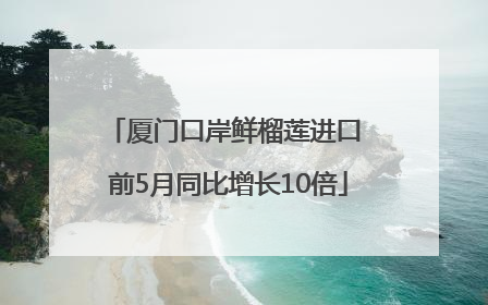 厦门口岸鲜榴莲进口 前5月同比增长10倍