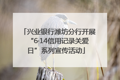 兴业银行潍坊分行开展“6·14信用记录关爱日”系列宣传活动