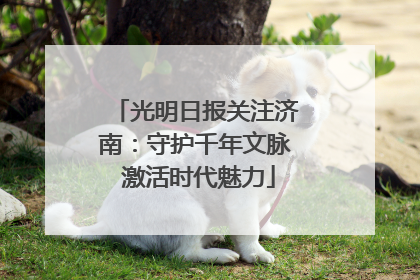 光明日报关注济南：守护千年文脉 激活时代魅力
