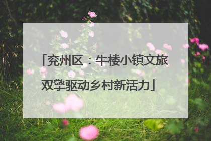 兖州区：牛楼小镇文旅双擎驱动乡村新活力