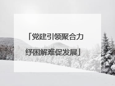 党建引领聚合力 纾困解难促发展