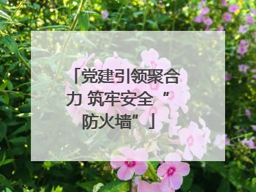 党建引领聚合力 筑牢安全“防火墙”