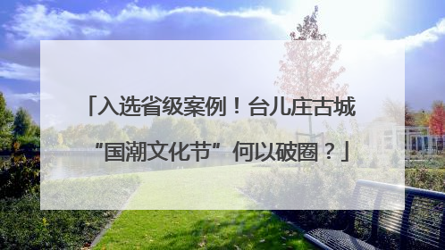 入选省级案例！台儿庄古城“国潮文化节”何以破圈？