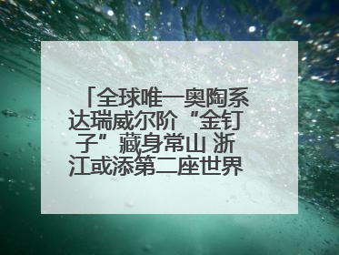 全球唯一奥陶系达瑞威尔阶“金钉子”藏身常山 浙江或添第二座世界地质公园