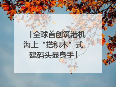 全球首创筑港机海上“搭积木”式建码头显身手