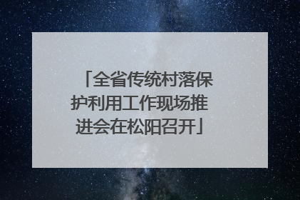 全省传统村落保护利用工作现场推进会在松阳召开